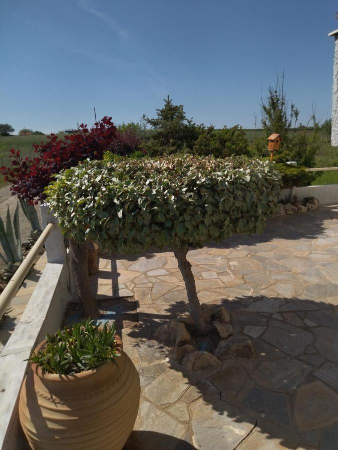 AlkyonaBeach_Polimeris Platanitis Exterior foto